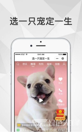 奶宠宠物短视频正式版2