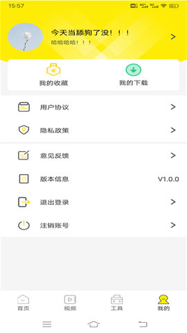 白狐壁纸视频1