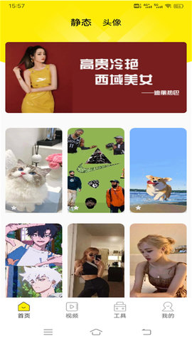 白狐壁纸视频3