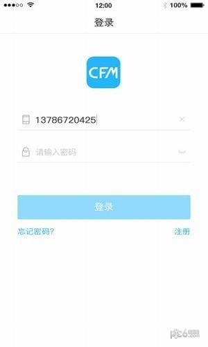 中国闪存市场