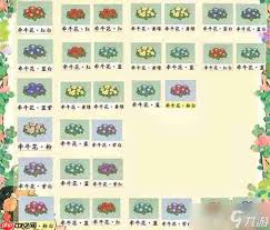 桃源深处有人家牵牛花育种配方是什么