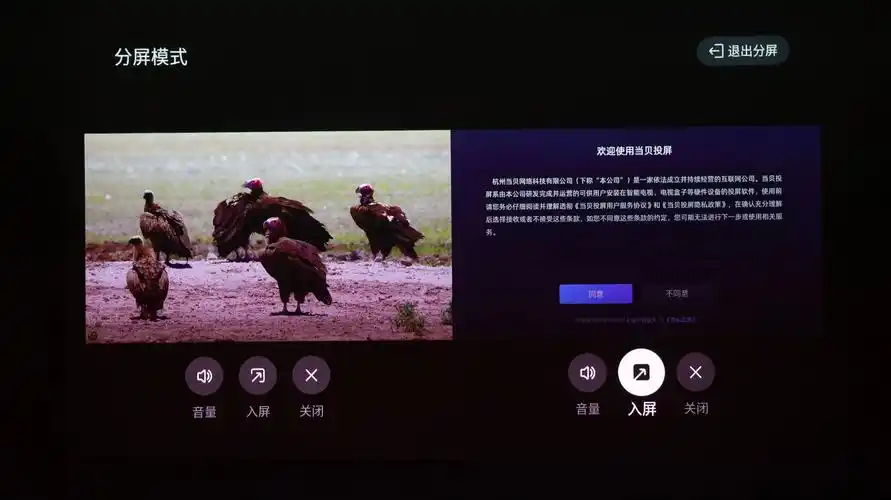 当贝X5SPro画面模糊如何调整