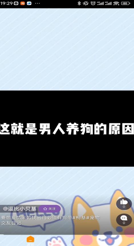 田鸡短视频自定义版4