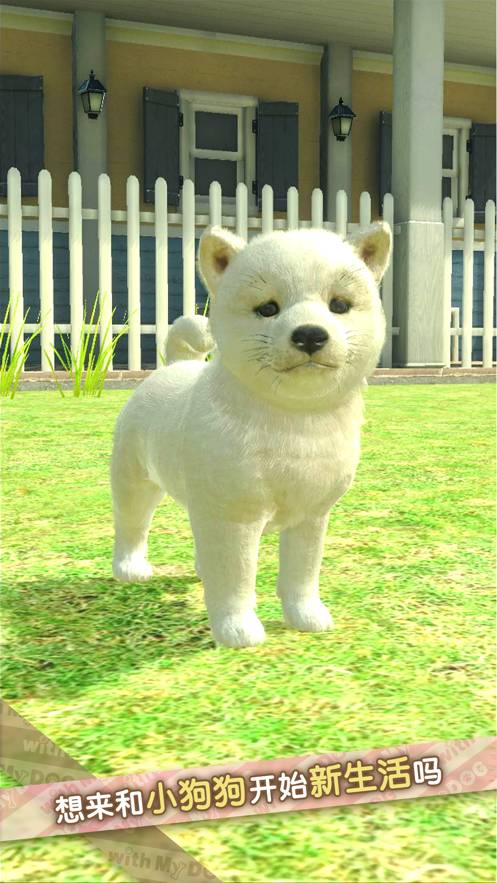 我的梦中情狗苹果版1