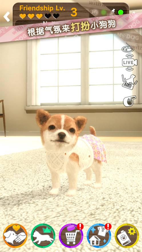 我的梦中情狗苹果版5