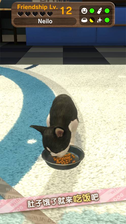 我的梦中情狗苹果版7