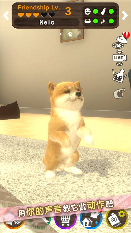 我的梦中情狗苹果版9