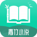 青竹小说免费正版