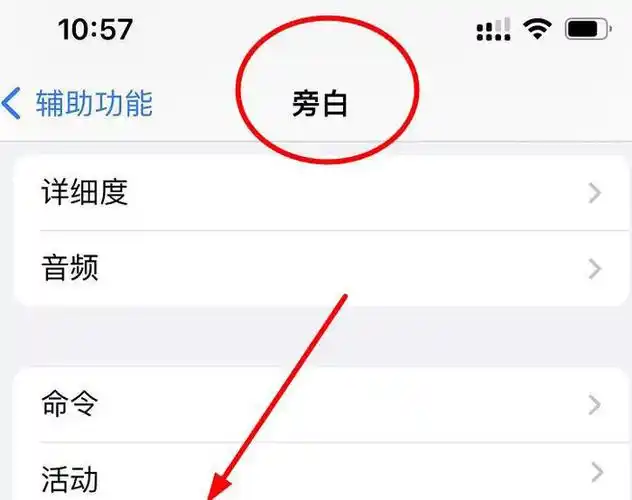 iPhone项目已载入的旁白触感开启位置在哪