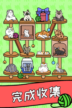猫咪公寓4