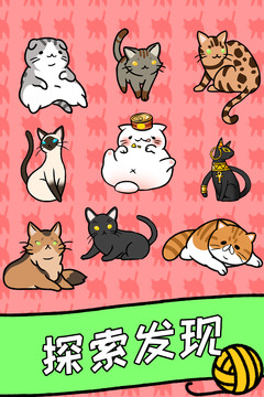 猫咪公寓5