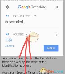 谷歌翻译怎么复制翻译