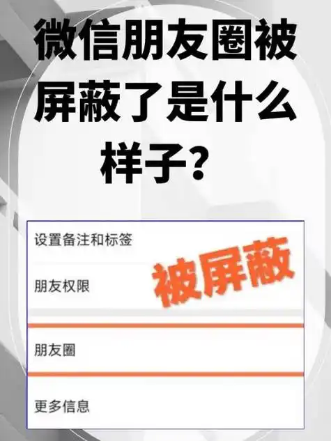 看不见朋友圈背景图是否意味着被对方屏蔽