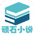顽石小说手机版