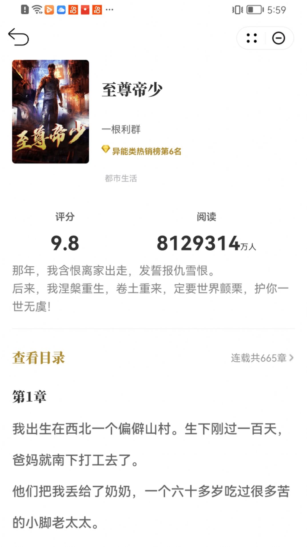 顽石小说手机版1