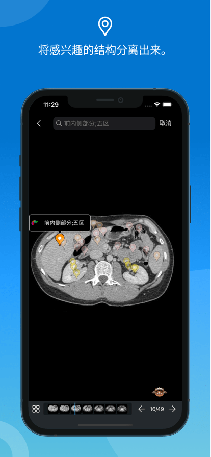e-anatomy3