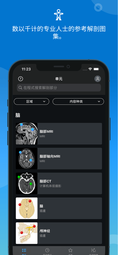 e-anatomy4