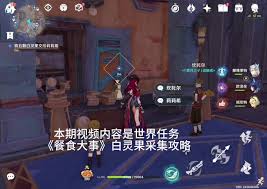 魔兽世界佐吉塔果实任务如何完成