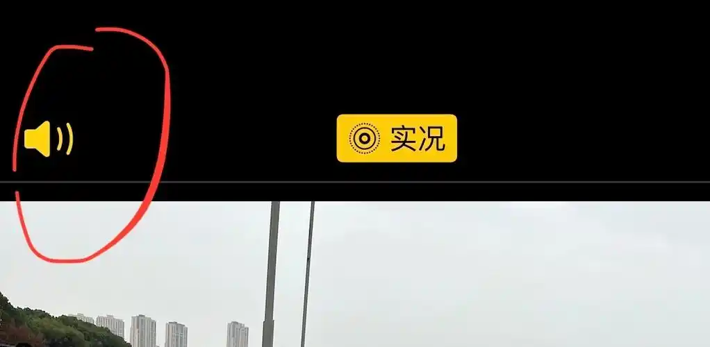美颜相机为什么没有实况