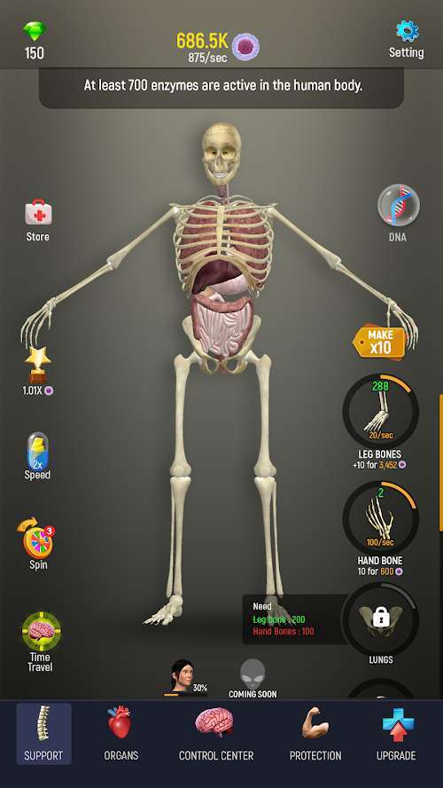 人体模型模拟器