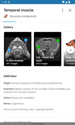 vet Anatomy安卓版v3.1.0