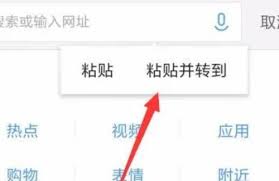 爱奇艺视频如何下载到本地相册