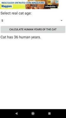 猫年龄2