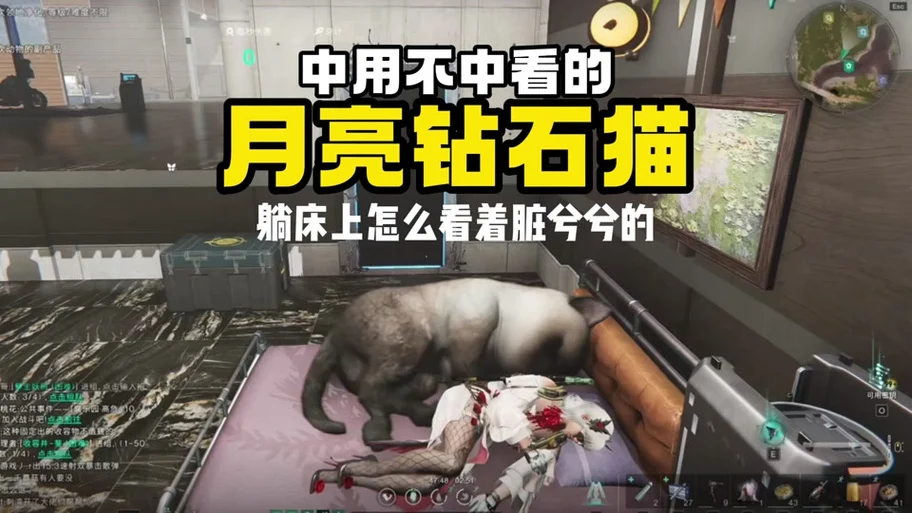 七日世界如何获得月亮猫