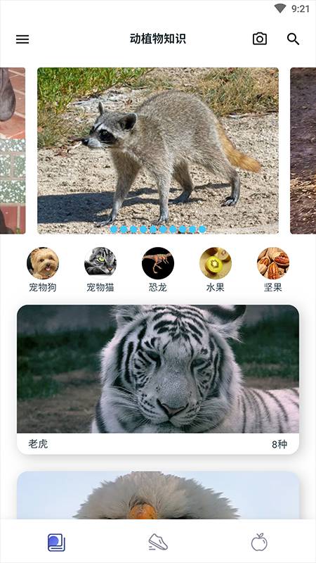 动植物百科全书(Animals Plants Treasury)