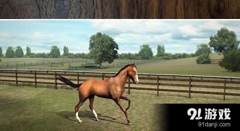 我的马 My Horse