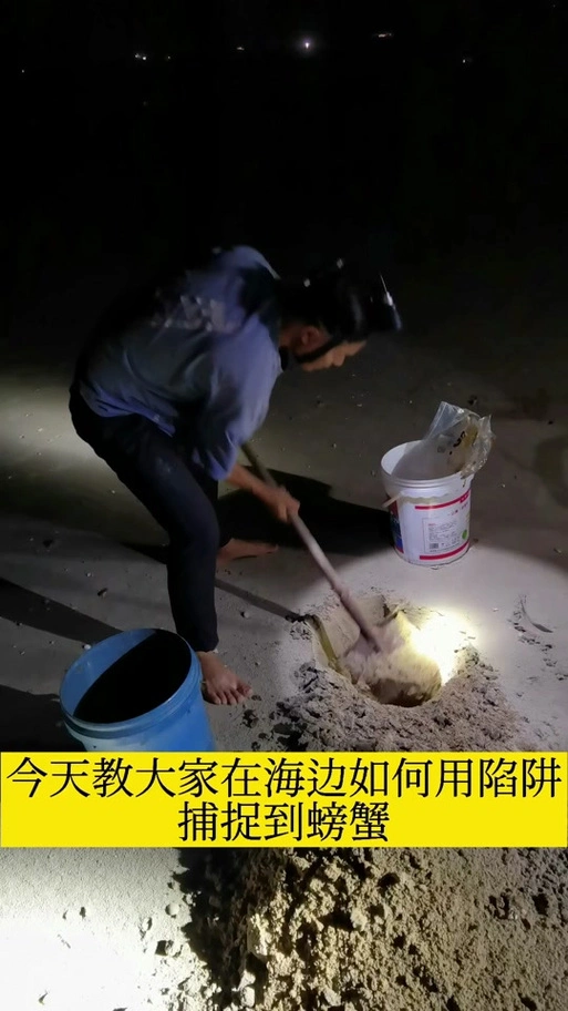 露玛岛鱼饵如何获取