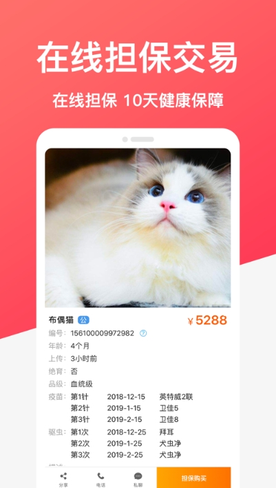 共宠(共享宠物)3