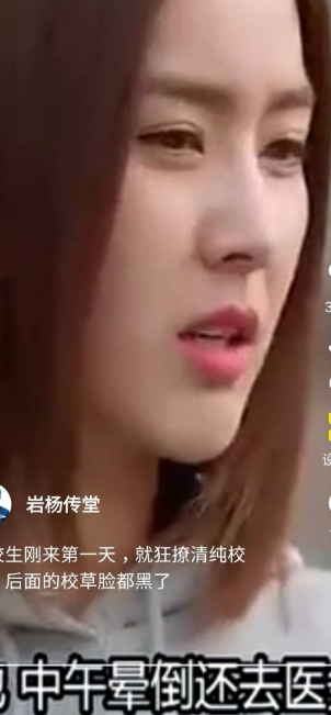 天天看大米2