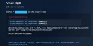 绝地求生如何快速解决被封禁帐号