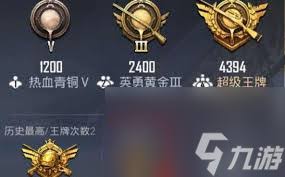 和平精英王牌印记有啥效果
