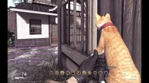 CF猫枪是什么