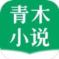 青木小说纯净版