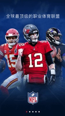 NFL橄榄球1