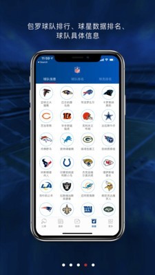 NFL橄榄球4