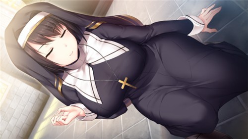 公主大人才不会认输呢汉化安卓1