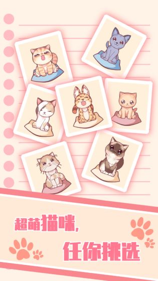 猫咪养成云撸猫5