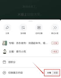 喜马拉雅App文字显示如何设置