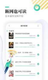 顾偶小说苹果版1