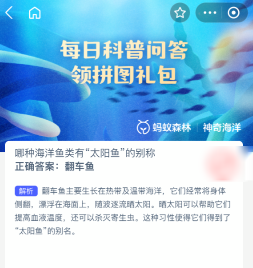 神奇海洋2025年10月10日今天答案是什么