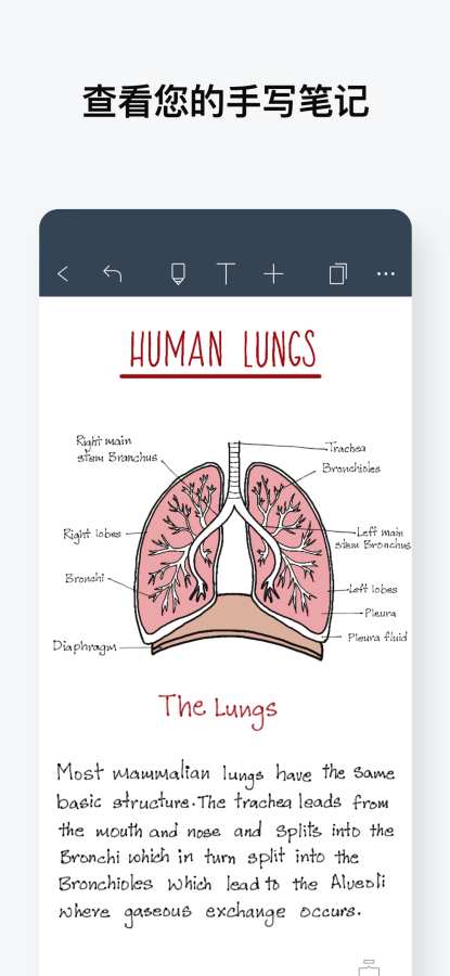 Noteshelf(手写笔记)2