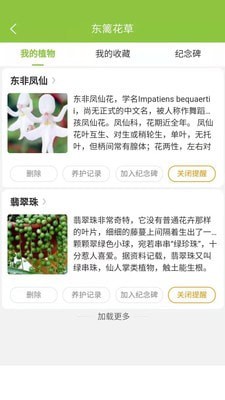 东篱花草4