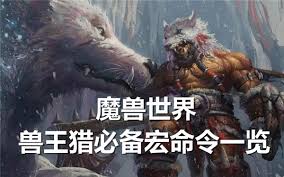 魔兽世界凶暴命令获取方法