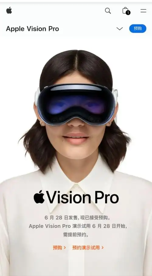 Apple Vision Pro的服务和支持由哪些人员提供