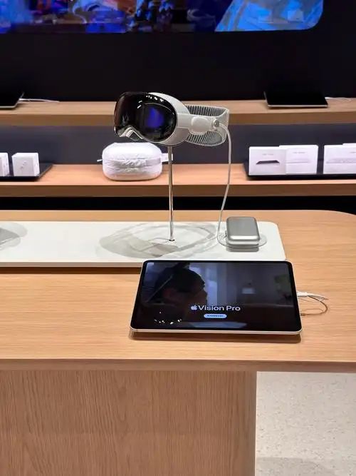 Apple Vision Pro的服务和支持由哪些人员提供