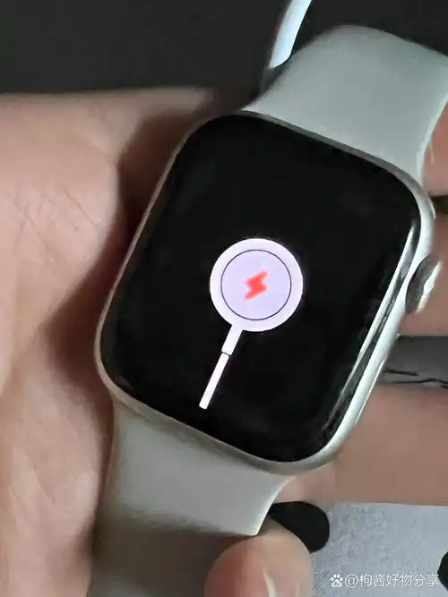 Apple Watch双击手势为何不起作用